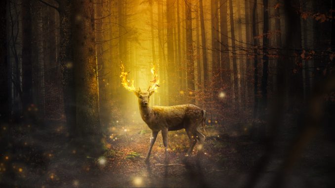 fantasy-3232570_1920